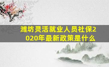 潍坊灵活就业人员社保2020年最新政策是什么