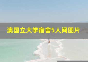 澳国立大学宿舍5人间图片