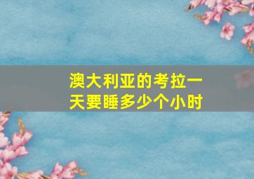 澳大利亚的考拉一天要睡多少个小时