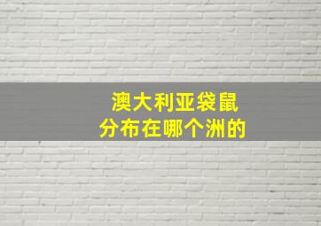 澳大利亚袋鼠分布在哪个洲的