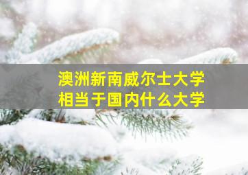 澳洲新南威尔士大学相当于国内什么大学