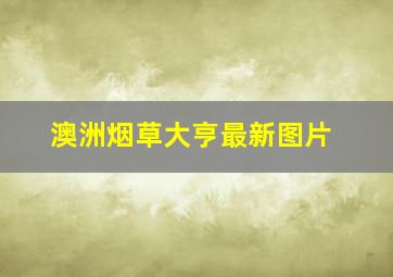 澳洲烟草大亨最新图片