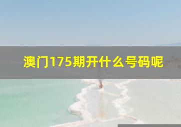 澳门175期开什么号码呢