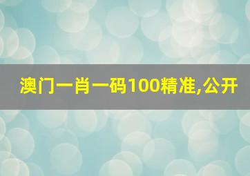 澳门一肖一码100精准,公开