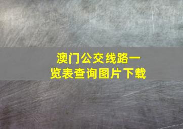 澳门公交线路一览表查询图片下载