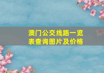 澳门公交线路一览表查询图片及价格