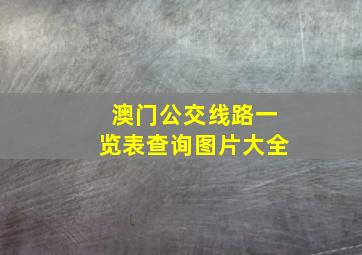 澳门公交线路一览表查询图片大全