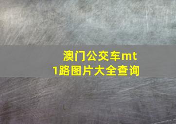 澳门公交车mt1路图片大全查询