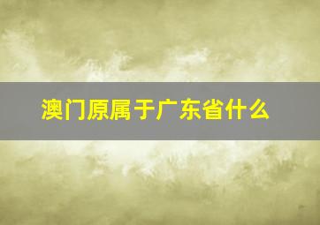 澳门原属于广东省什么