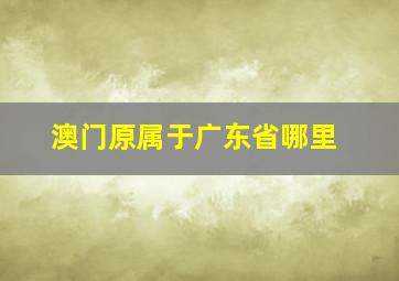 澳门原属于广东省哪里