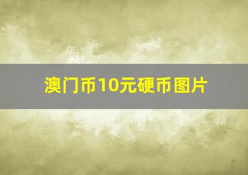 澳门币10元硬币图片