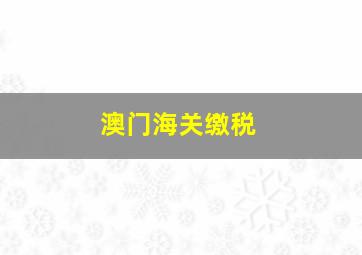 澳门海关缴税