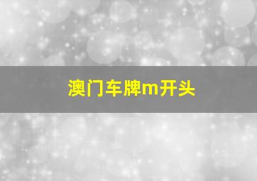 澳门车牌m开头