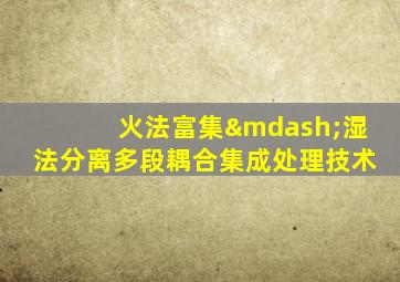 火法富集—湿法分离多段耦合集成处理技术