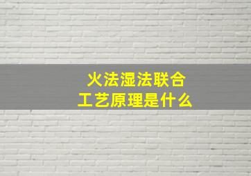 火法湿法联合工艺原理是什么