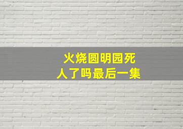 火烧圆明园死人了吗最后一集