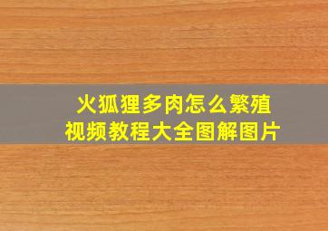 火狐狸多肉怎么繁殖视频教程大全图解图片