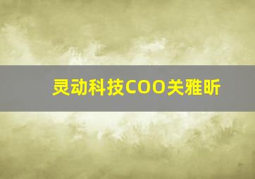 灵动科技COO关雅昕