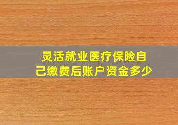 灵活就业医疗保险自己缴费后账户资金多少