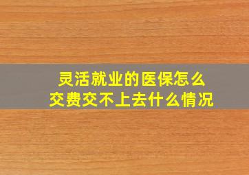 灵活就业的医保怎么交费交不上去什么情况