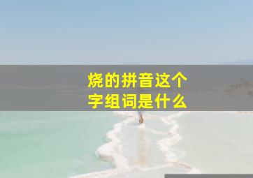 烧的拼音这个字组词是什么