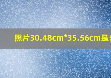 照片30.48cm*35.56cm是多大