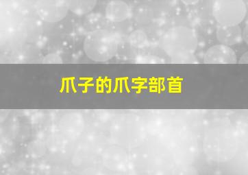 爪子的爪字部首