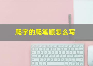 爬字的爬笔顺怎么写