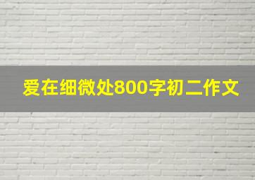 爱在细微处800字初二作文