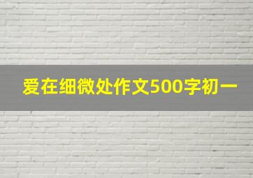 爱在细微处作文500字初一