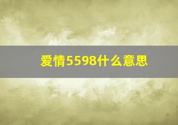 爱情5598什么意思