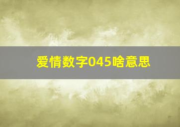 爱情数字045啥意思