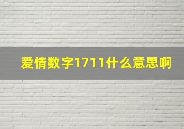 爱情数字1711什么意思啊