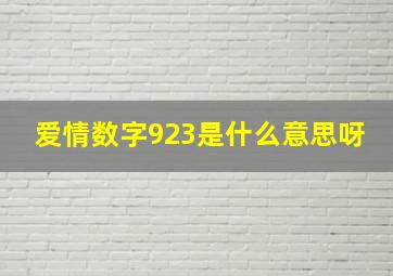 爱情数字923是什么意思呀