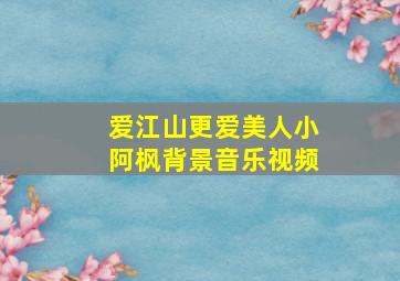 爱江山更爱美人小阿枫背景音乐视频