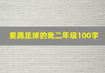 爱踢足球的我二年级100字