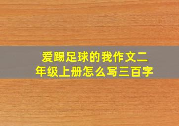 爱踢足球的我作文二年级上册怎么写三百字