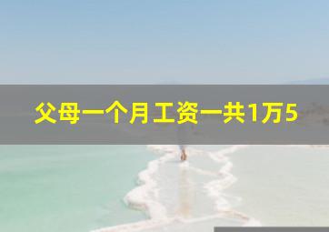 父母一个月工资一共1万5