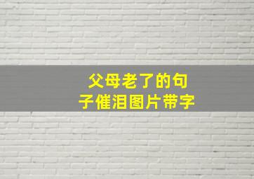 父母老了的句子催泪图片带字