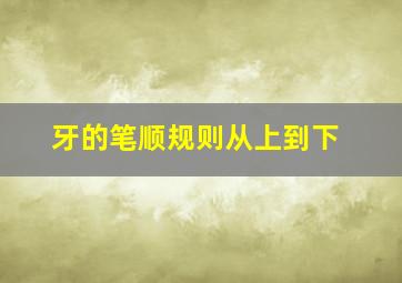 牙的笔顺规则从上到下