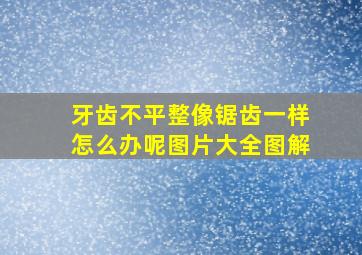 牙齿不平整像锯齿一样怎么办呢图片大全图解