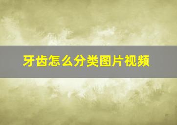 牙齿怎么分类图片视频