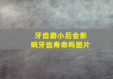 牙齿磨小后会影响牙齿寿命吗图片