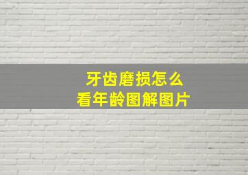 牙齿磨损怎么看年龄图解图片