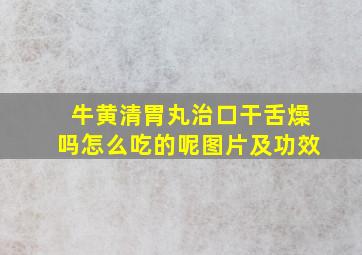 牛黄清胃丸治口干舌燥吗怎么吃的呢图片及功效