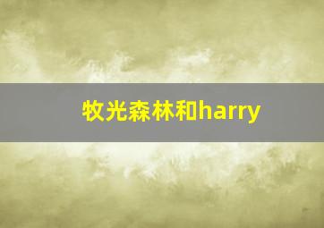 牧光森林和harry