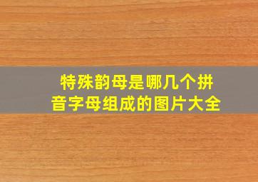 特殊韵母是哪几个拼音字母组成的图片大全