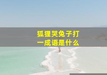 狐狸哭兔子打一成语是什么