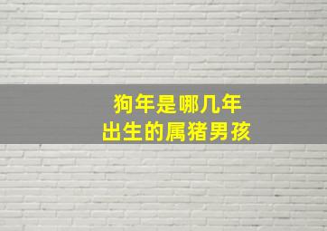 狗年是哪几年出生的属猪男孩