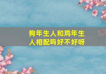 狗年生人和鸡年生人相配吗好不好呀